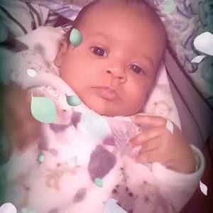 Meet your Posher, Leonardo